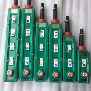 Crane Electric Hoist Explosion-Proof Handle Button Switch Bak21/31/41/51/71 Explosion-Proof Control Remote Control