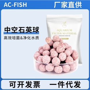 �п�ʯӢ���~���^�V���ϼ������ˮ���������������{�������