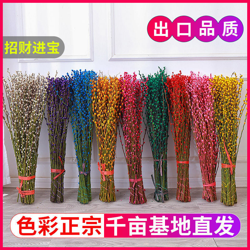 銀柳真花幹花鮮枝新年年宵花耐寒室內客廳七彩花束水養插花