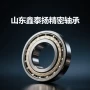 21n-70-3418021n-30-13140轴承