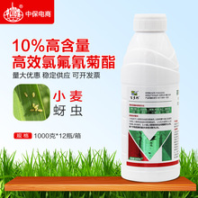 r˼_ ٶ10%Чȷxxrșx