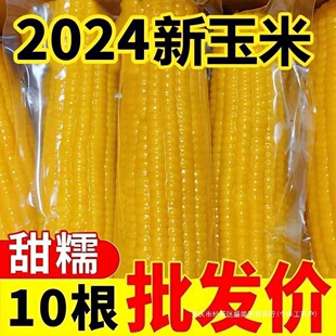 Ŵ�S10���r�ʹ��ʸ��p�|������ճŴ���������