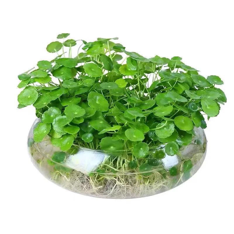 4201fd22-4d03-480b-9305-3fc5aebf87d3.jpe