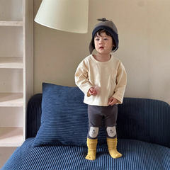 男童秋装新款2025秋季衣服韩版童装秋款儿童长袖T恤打底裤两件套