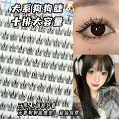 [免胶款]大容量睫毛书小奶犬系假睫毛狗狗眼浓密卷翘可代发批发