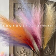 �u׃ɫ�����JȔ  ��β�Ͳ��b� ����˹��ins�L �����b͏d�[