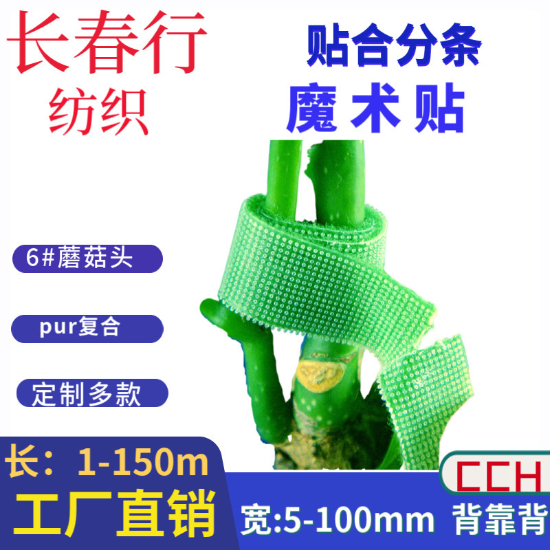 Back-to-back Velcro Transparent 6# Shooting Hook Green Padded Cloth Mushroom Head Buckle Plant Strap Back Tape