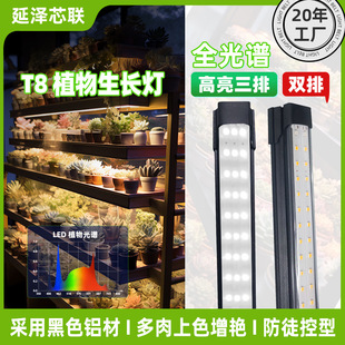 T8ֲ�����L��ȫ���V��̫ꖹ��҃ȟ�ֵ�Gֵ¹��ާ�҃�ֲ���a�����