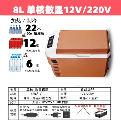 12V/220V, Small Car Refrigerator for Medicines, Soyuducular