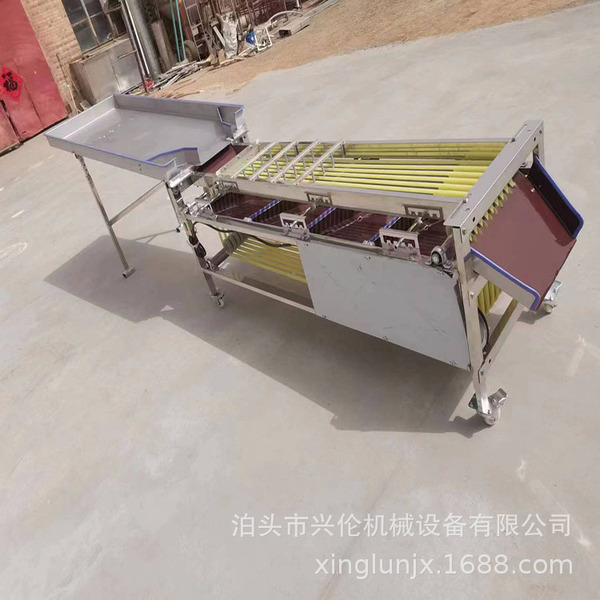Household belt-type fruit sorting machine
