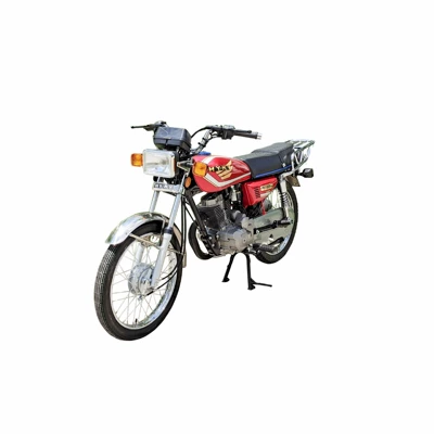 125/150 motorbike, Motosikletlər