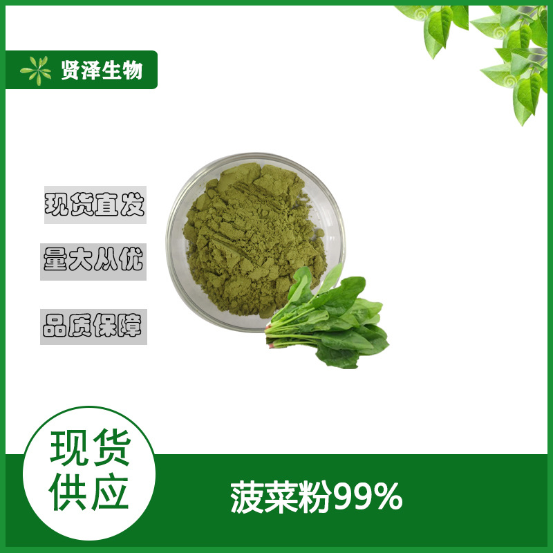 菠菜粉  菠菜提取物  全水溶 脱水蔬菜粉 贤泽生物  现货供应