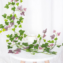 ~ٗlbٷ픲ع~ڒbƷ@ˇ