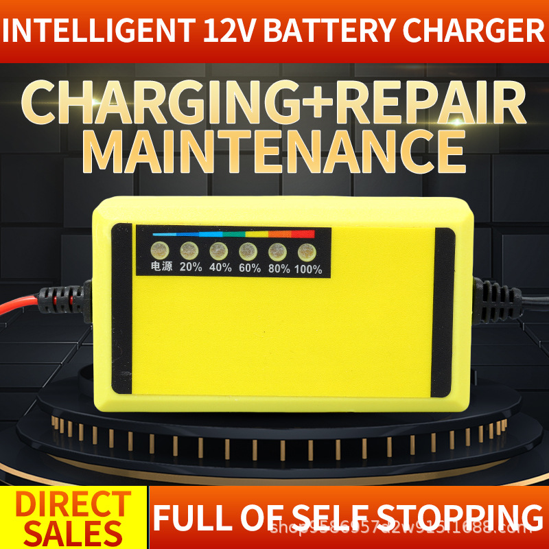 12V2A Motorcycle Battery Charger Sprayer Battery 8Ah20Ah Suitable for Single Battery Charger Ce Certified