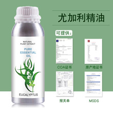 ���l�ȼ������� ��侫�� ��ֲ��η����̓����՚�������坍����