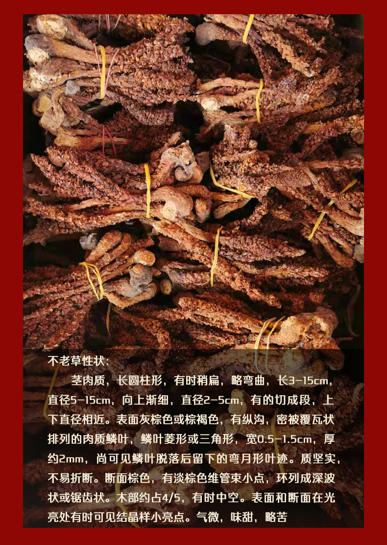 Bu Lao Cao Dried Herb 500g Boschniakia Rossica Whole Root for Herbal Wine and Decoction quality and texture