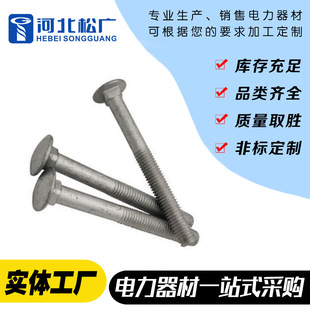 Power Matching Bolts Power Gold Warriors Hot Galvanized
