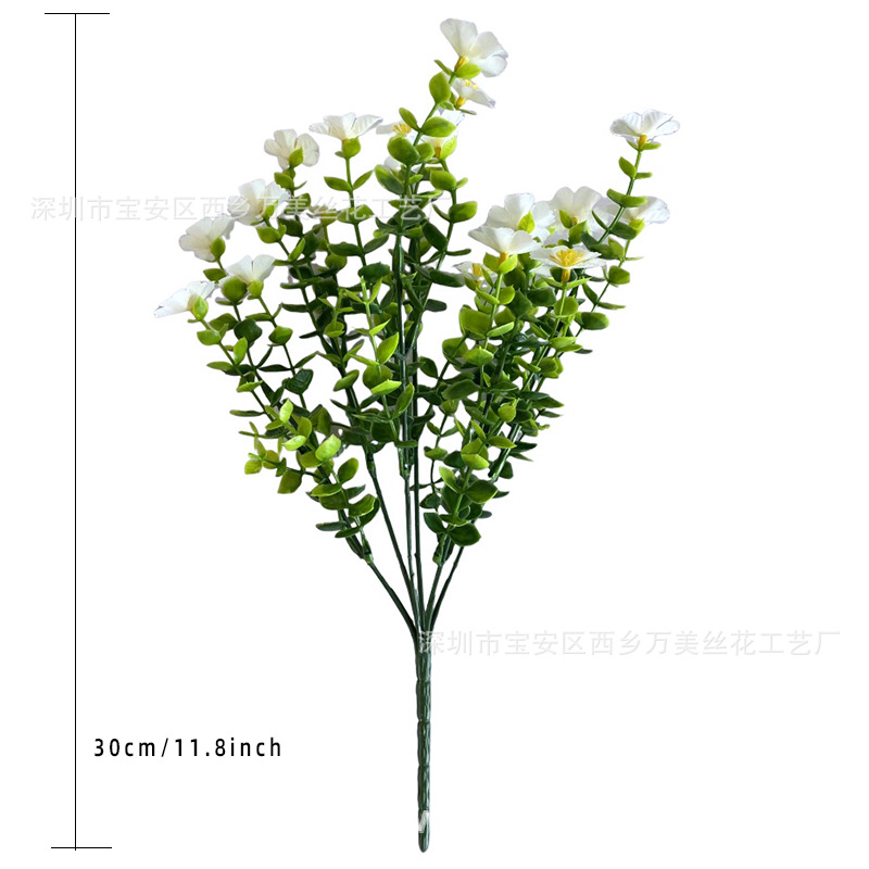 화이트