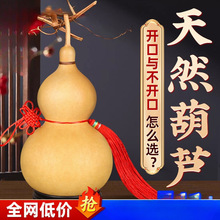 ��Ȼ���J�������J���Ї��Y�����_���T���T�͏d���P�[����̖����