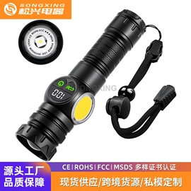 手电筒;头灯头戴电筒;野营/露营灯
