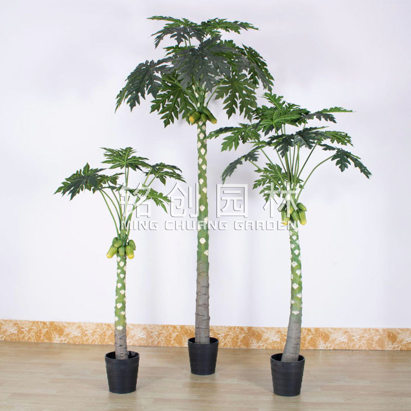 Plantas de simulación, árboles de longevidad, plantas verdes, plantas en macetas de interior, decoración de paisajismo, árboles frutales de simulación a gran escala, árboles de papaya