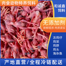 蛇鳄色狐狸娃娃鱼饲料冷冻小鸡仔加工肉食动物特养饲料猫犬狗饲料