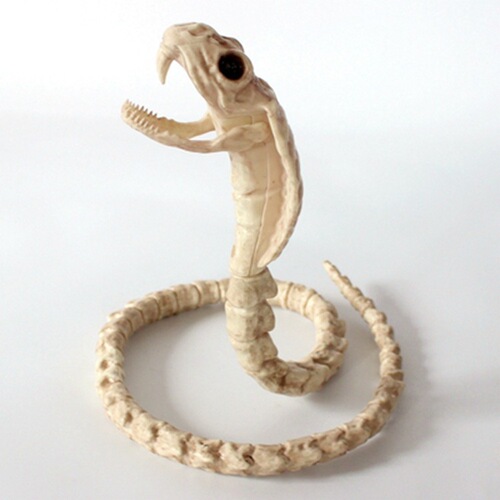 Halloween horror skeleton animal skeleton bat spider scorpion mouse snake haunted house decoration props toad skeleton