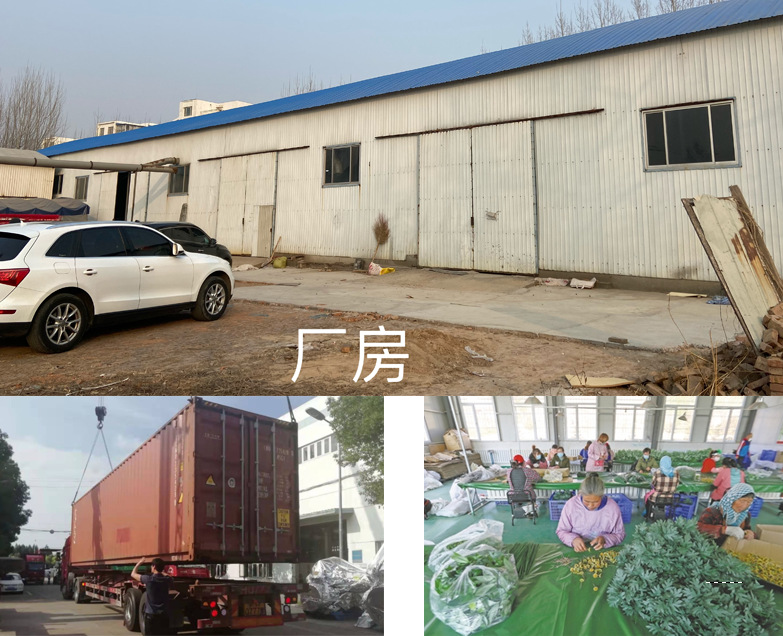 b1d6c39a9002c2adf785ee0430eacf