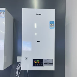 其他厨卫大件;燃气热水器;家用采暖炉