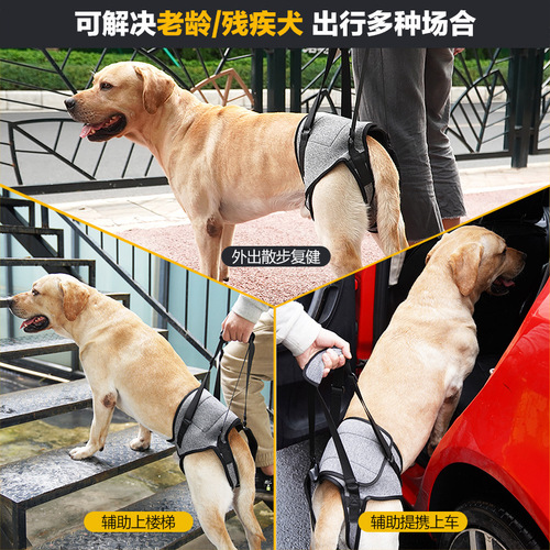 Cross-border best-selling pet supplies: Injury support harness for dogs' hind legs, decompression-assist traction device for elderly or injured dogs
