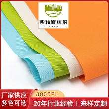 SҬF؛ֱ300DţPUTӷbˮϑ⎤¶Iͯ܇