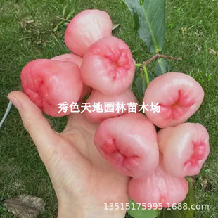 ���Nˮ������̨�����L�ɏ�F�޽���ڽ��������w��������ͥԺ����