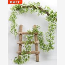 ɭϵ�ٻ��M���ǻ��ٗl���{�ܵ��ڳ����b�c��ˇ�Gֲ��