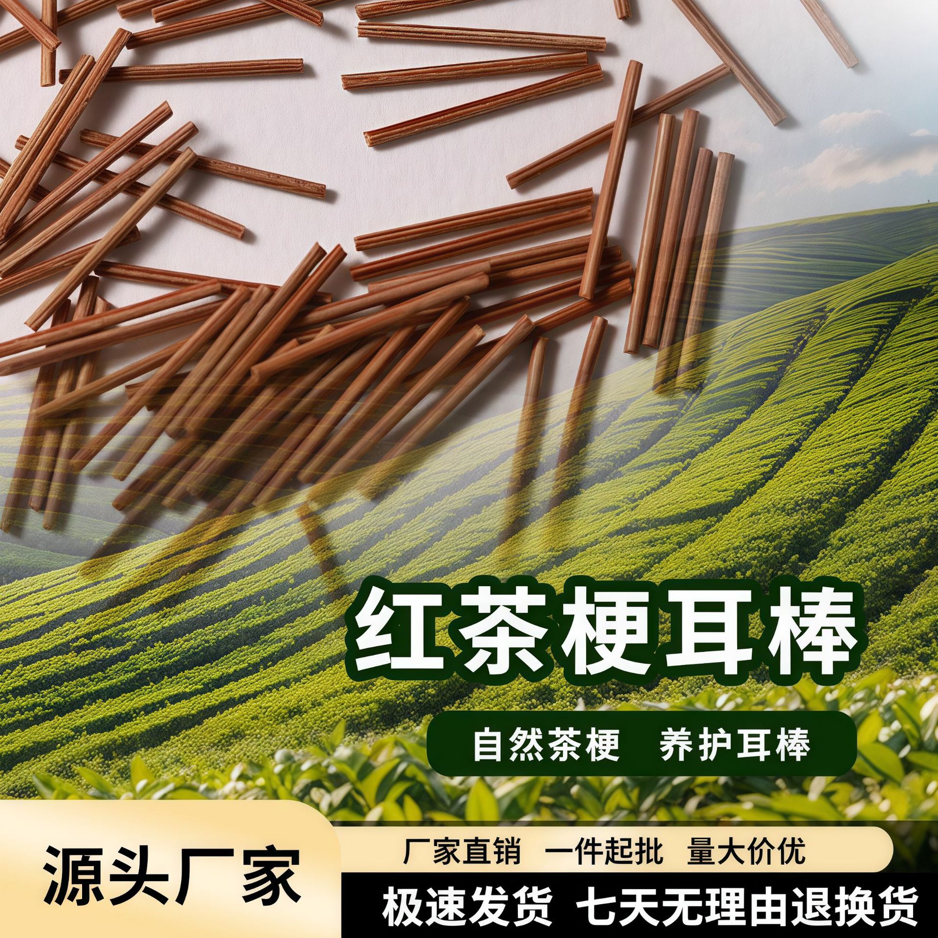 Tea Stem Ear Studs for Women with Sensitive Ears, Tea Stick Anti-Clogging Needles for Men, Student Invisible Earrings