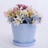 Resin petal pot wholesale color pumpkin -type green plant meat imitation porcelain basin plastic succulent potting large discount