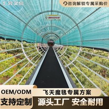 景区飞天魔毯运输传送带登山上山下山爬坡代步机新型游乐项目设备