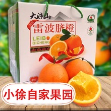 雷波脐橙自产自销四川大凉山特产新鲜水果现摘现发10橙子一件代发
