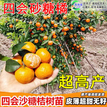 һ�����l�ĕ�ɰ����ɳ�ǽ��������ټ޽ӏV�|���Ե��Թ�����ٸ̽�