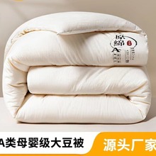 A类原棉大豆被母婴级单双人被水洗针织棉空调夏凉被芯批发春秋被