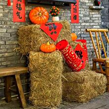 �����b����Ϲϲݶ�[���������ÿ��ȵ�������յ��߱����Ǻ��J