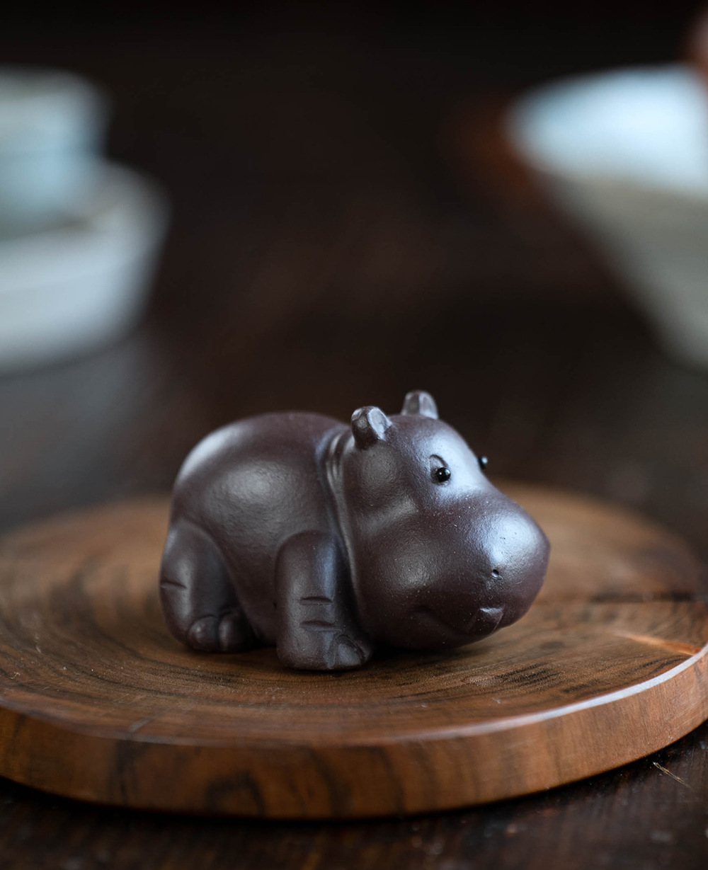 小河马20240528 (7).jpg