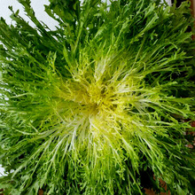 ���~���ķN�ӿ������~���ļ��߲��r�Ҳˈ@���ѷ�����Ʒ�S��ֱ�N