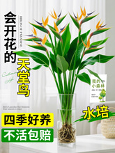 �����Bˮ��ֲ���Q���m�҃��������Կ͏d�߼��оGֲ���~�p��ֲ��