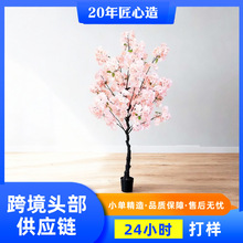 ���W�Lins�Ҿ��b���ѻ���Ƶ��̈�������ؔ[������С�ѻ���