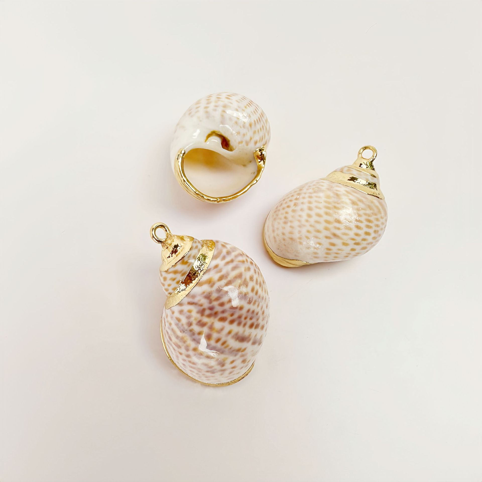 34 프로스티드 코코아 달팽이