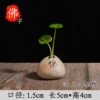 [小石头【佛】]