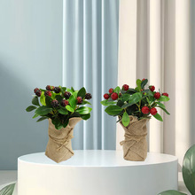 ����ˮ����÷���{�����K��֦�ҾӔ[����ˮ����ݮ�辰�b�c����