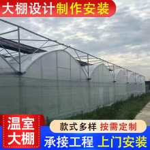 单栋薄膜温室 花卉蔬果大棚养殖 多种温室大棚设计承建施工安装