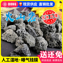 ɽ ؚVÞV 4-8/8-16mmɽVϏS F؛