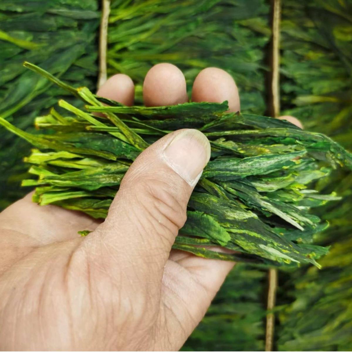 2023 перед дождем, аромат орхидеи обезьяна Тайпин Куи щипящий кончик чай консервированная Подарочная коробка оптом с фабрики